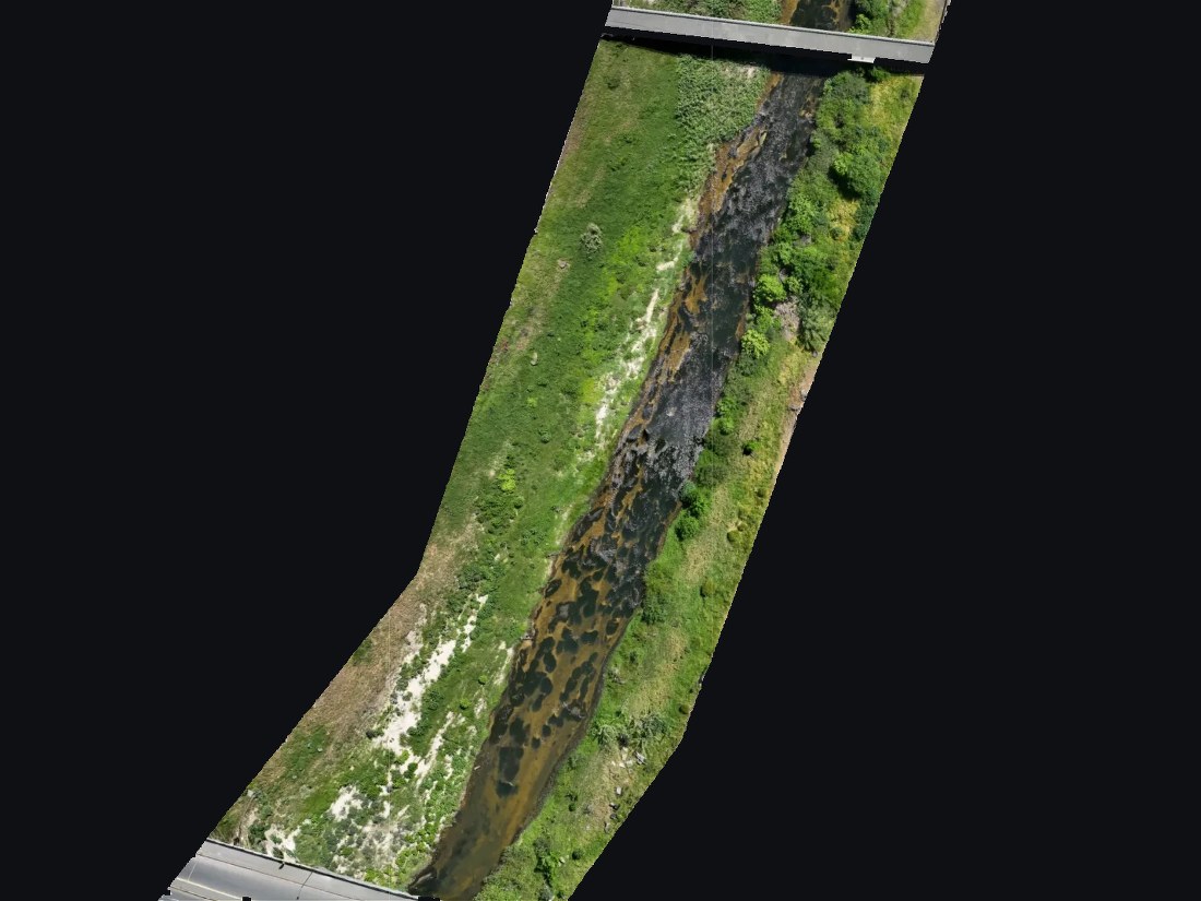 Orthomosaic of the stream, zoomed progressively from the full section down to the stream bed and bank vegetation